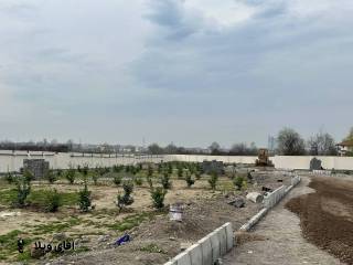 خرید 215 متر زمین  شهرکی جنگلی در نوشهر