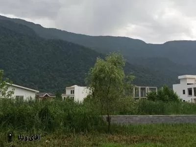 خرید زمین جنگلی 220 متری در نوشهر