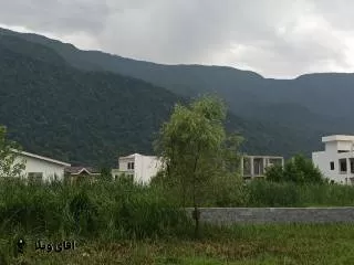 خرید زمین جنگلی 220 متری در نوشهر