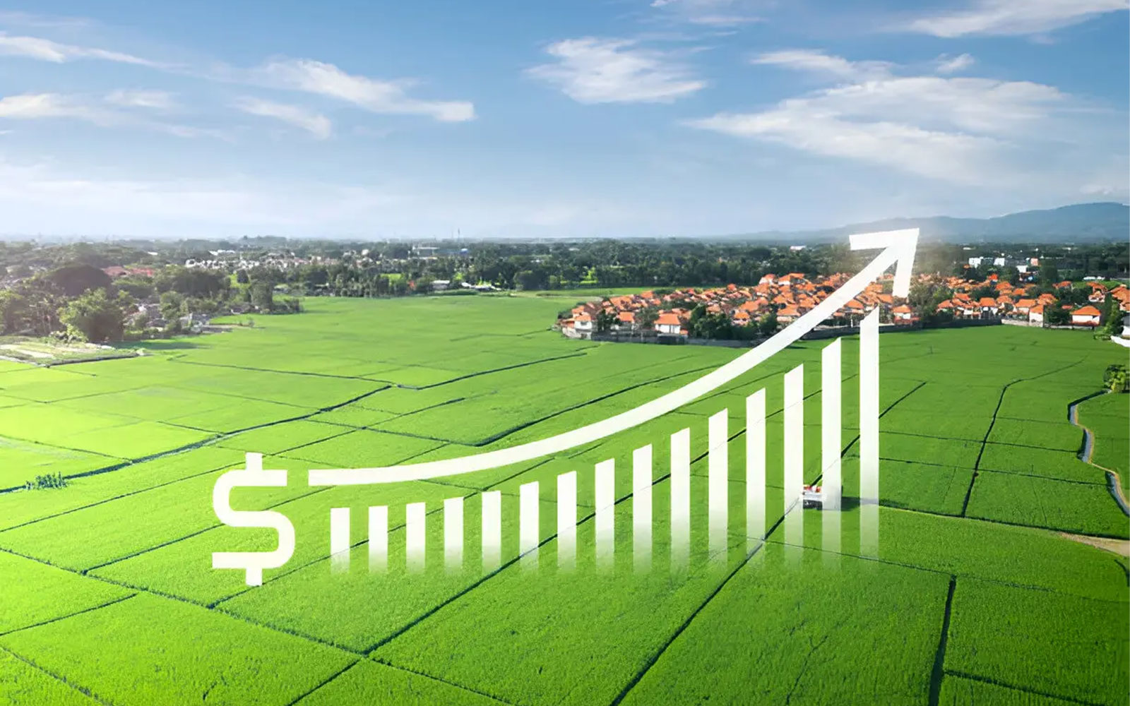 کدام شهرهای مازندران بیشترین رشد قیمتی را تجربه کردهاند؟ کدام شهرهای مازندران بیشترین رشد قیمتی را تجربه کردهاند؟