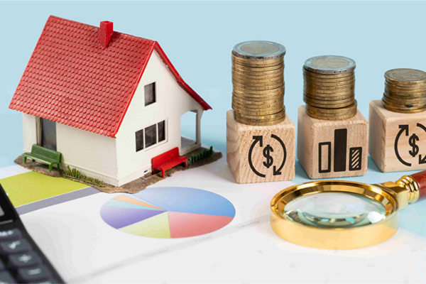 زمین کشاورزی در نوشهر بخریم یا زمین مسکونی؟ بررسی بازار ۱۴۰۴