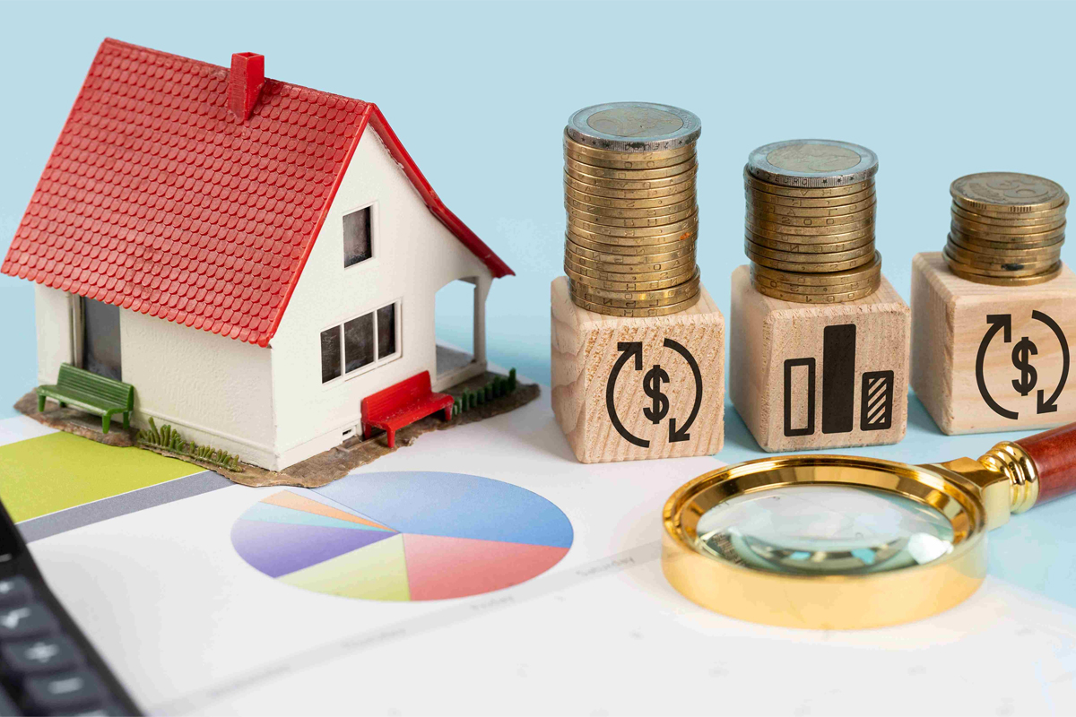 زمین کشاورزی در نوشهر بخریم یا زمین مسکونی؟ بررسی بازار ۱۴۰۴
